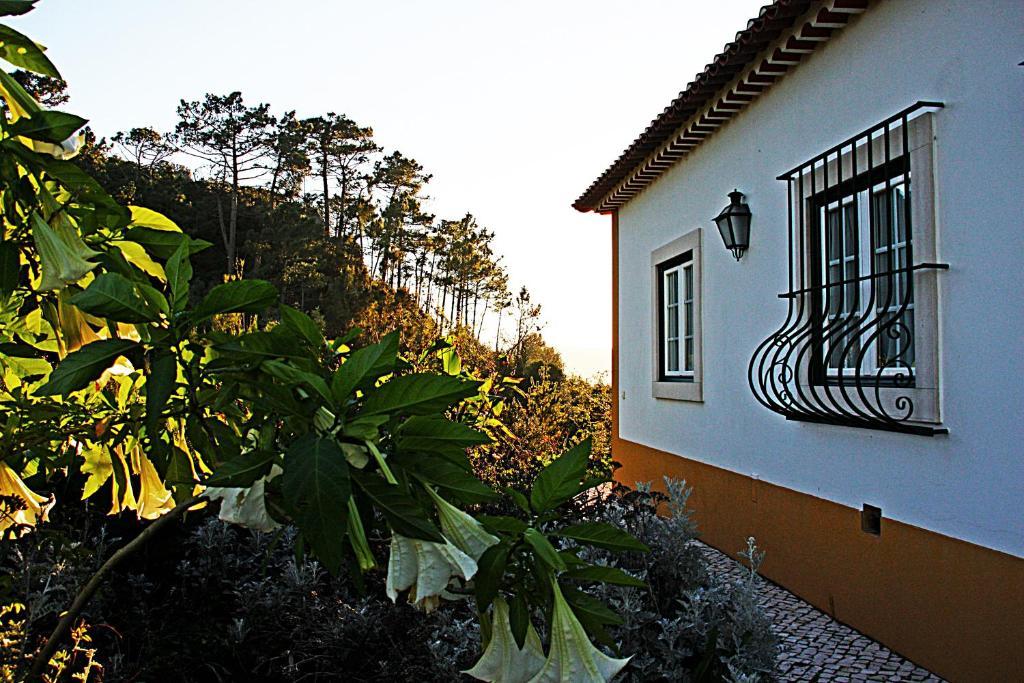 Quinta Da Torre - Obidos Country House Hostal Exterior foto